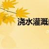 浇水灌溉的近义词（灌溉的近义词）