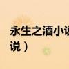 永生之酒小说1-22epub百度云（永生之酒小说）