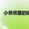 小爸爸里的插曲是什么（小爸爸里的插曲）