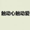 触动心触动爱电视剧张哲瀚（触动心触动爱）