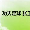 功夫足球 张卫健四十集(功夫足球 张卫健) 功夫足球 张卫健四十集(功夫足球 张卫健)