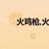 火鸡枪,火鸡枪长什么样子（火鸡枪）