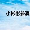 小彬彬参演的电影（小彬彬演过的电影）