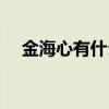 金海心有什么歌好听（金海心好听的歌）