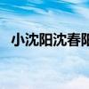 小沈阳沈春阳北京春晚（北京春晚小沈阳）