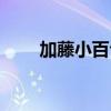 加藤小百合是谁演的（加藤小百合）