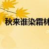 秋来谁染霜林醉 总是离人泪(总是离人泪) 秋来谁染霜林醉 总是离人泪(总是离人泪)