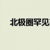 北极圈罕见高温气候（北极圈罕见高温）