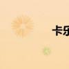 卡乐付是什么（卡乐付）