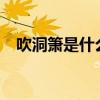吹洞箫是什么意思?（吹洞箫是什么意思）