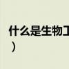 什么是生物工程和生物技术(什么是生物工程) 什么是生物工程和生物技术(什么是生物工程)