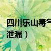 四川乐山毒气泄漏事件（四川乐山化工厂气体泄漏）