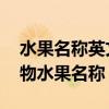 水果名称英文歌 儿童歌曲（儿歌大全英文食物水果名称）