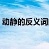 动静的反义词的词语有哪些（动静的反义词）