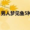 男人梦见鱼5种征兆要发财（5种征兆要发财）
