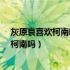灰原哀喜欢柯南吗?她亲口说的吗?哪一集有?（灰原哀喜欢柯南吗）