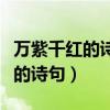 万紫千红的诗句中含有这个成语的（万紫千红的诗句）