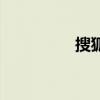 搜狐网丫蛋（丫蛋资料）