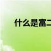 什么是富二代官二代(什么是富二代) 什么是富二代官二代(什么是富二代)