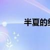 半夏的纪念2021（半夏的纪念）