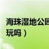 海珠湿地公园好玩吗多少钱（海珠湿地公园好玩吗）