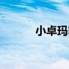 小卓玛舞蹈教案（小卓玛舞蹈）