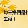 勾三搭四是什么生肖最准答（勾三搭四是什么生肖）