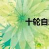 十轮自卸车多重（十轮自卸车）