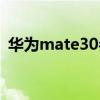 华为mate30参数价格（华为mate30参数）