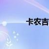 卡农吉他谱c调（卡农 吉他谱）