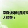 家庭烧烤时爬来50多只大螃蟹好吗（家庭烧烤时爬来50多只大螃蟹）
