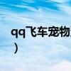 qq飞车宠物蛋多少必出（qq飞车宠物经验卡）