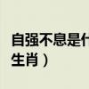 自强不息是什么生肖打一肖（自强不息是什么生肖）