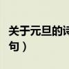 关于元旦的诗句佳句英语（关于元旦的诗句佳句）