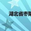湖北省枣阳市邮编查询（枣阳市邮编）