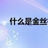 什么是金丝楠木树苗（什么是金丝楠木）