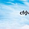 cf小牛辅助（cf蜗牛外挂）