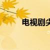电视剧尖锋特攻队（电视剧尖锋）