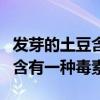 发芽的土豆含有的毒素是什么（发芽的土豆中含有一种毒素）