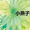小燕子赵薇剧照（小燕子赵薇）