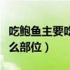 吃鲍鱼主要吃什么部位的肉（吃鲍鱼主要吃什么部位）