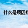 什么是质因数什么是因数（什么是质因数）
