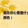我在你心里是什么颜色的人该怎么回答（我在你心里是什么颜色）