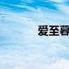 爱至暮夏大结局（爱至暮夏2）
