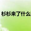 杉杉来了什么时候播的（杉杉来了播出时间）