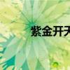 紫金开天斧（紫金开山斧易爆点）