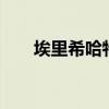 埃里希哈特曼 霍恩（埃里希 哈特曼）
