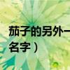 茄子的另外一个名字叫什么（茄子的另外一个名字）