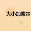 大小加索尔在同一个队伍（大小加索尔）