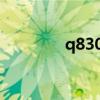 q8300 cpu参数（q8300）